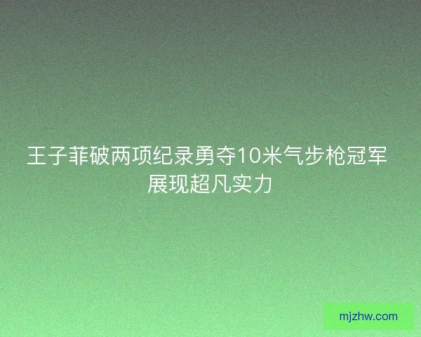 王子菲破两项纪录勇夺10米气步枪冠军 展现超凡实力